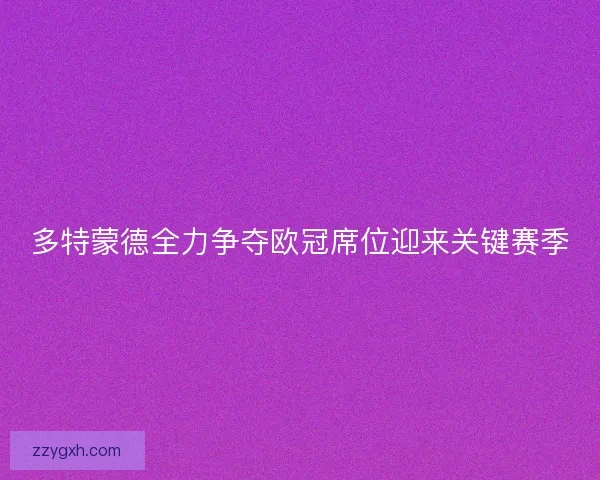 多特蒙德全力争夺欧冠席位迎来关键赛季